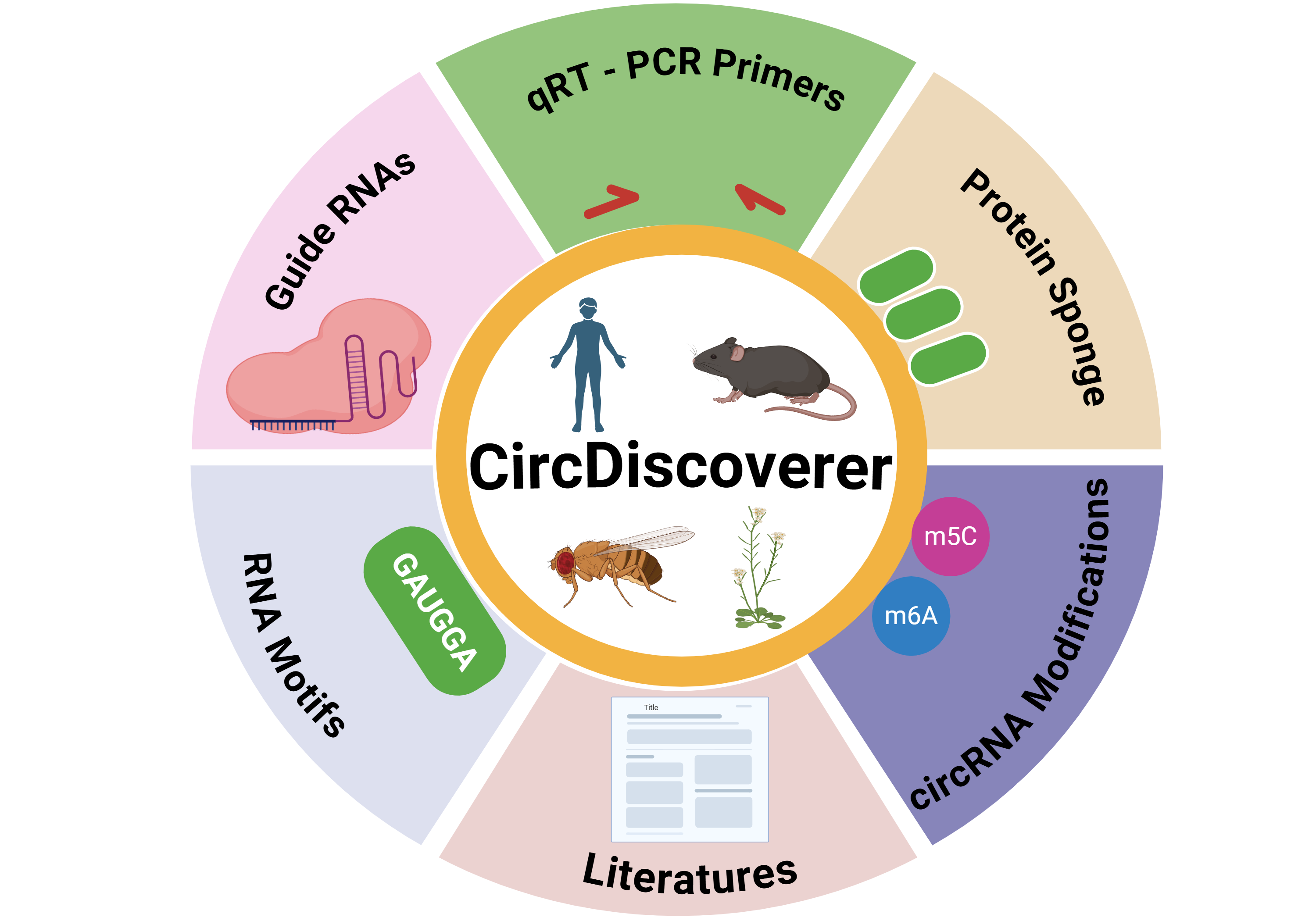 CircDiscoverer Home Screenshot